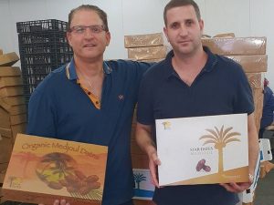 Dates export by Israeli manufacturer- Tal & Avi Dagul- Agrifood Marketing